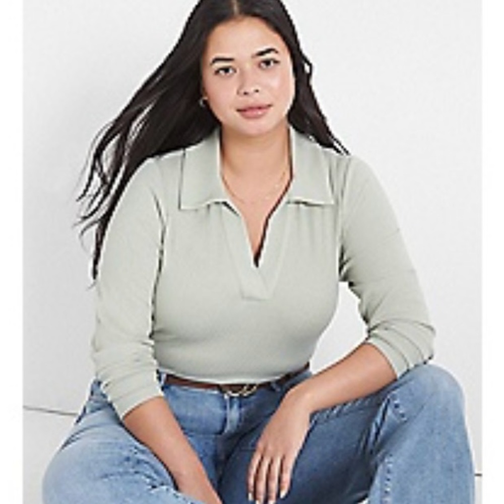 Lane Bryant top 14/16